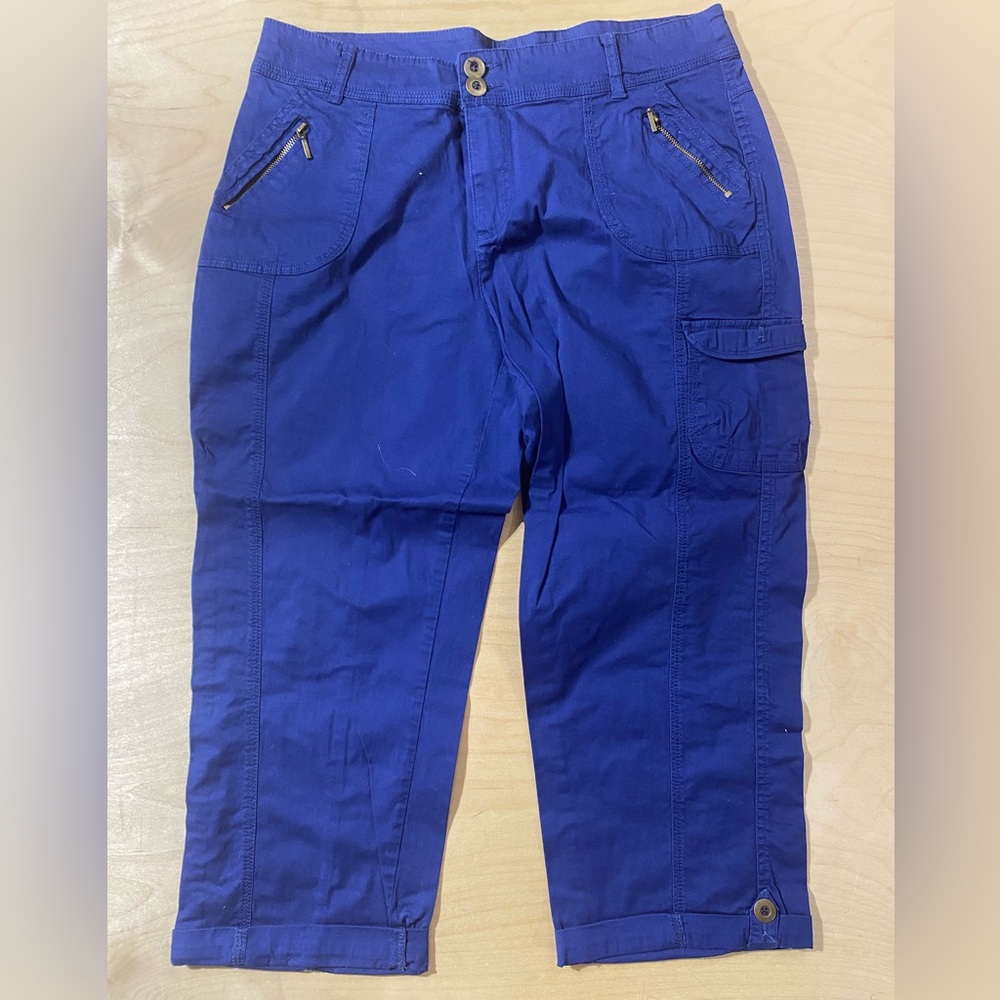 Camaieu Blue Capri Pants 12 (QB)